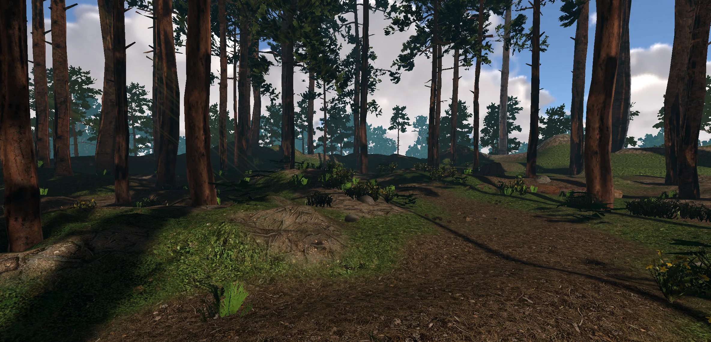 A screenshot of a forest. Trees stretch into a lightly misted haze. Shrubs, stones, flowers nad mushrooms are scattered across the floor. Subtle beams of light glisten through gaps in the leaves.